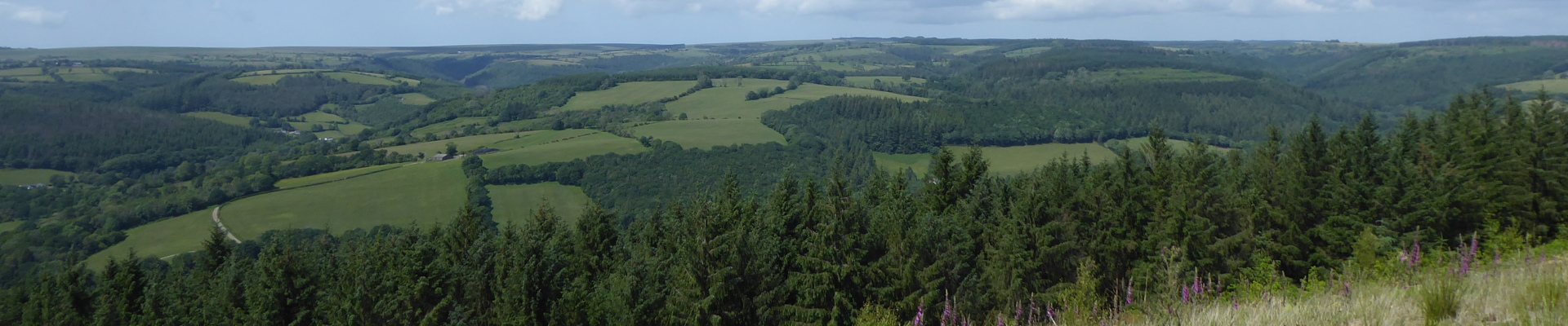 View looking north towards the proposed Glyn Cothi Wind Farm. The Exisiting Brechfa Wind farm can be seen to the West